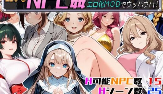 Let’s NPC姦 VR世界で処女を奪ってエロ化MODでウッハウハ！